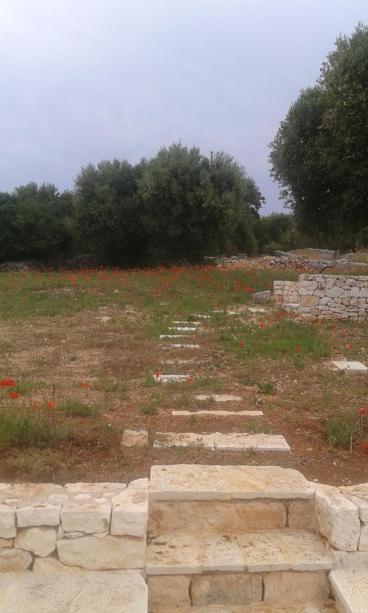 Trullo Alto Salento Βίλα Cisternino Εξωτερικό φωτογραφία