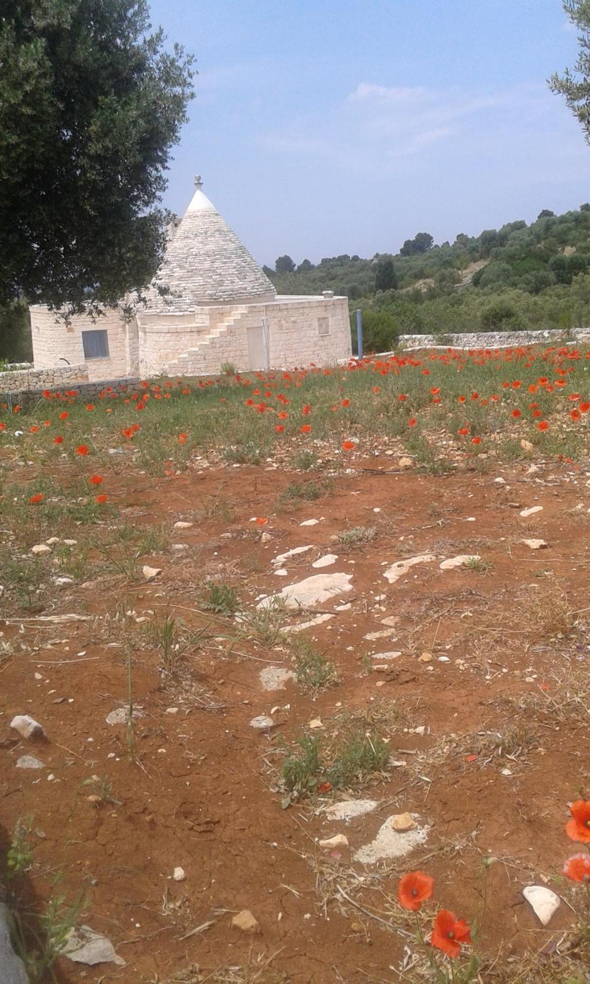 Trullo Alto Salento Βίλα Cisternino Εξωτερικό φωτογραφία