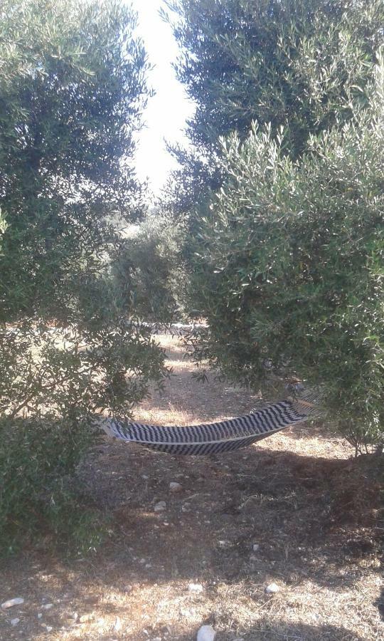 Trullo Alto Salento Βίλα Cisternino Εξωτερικό φωτογραφία