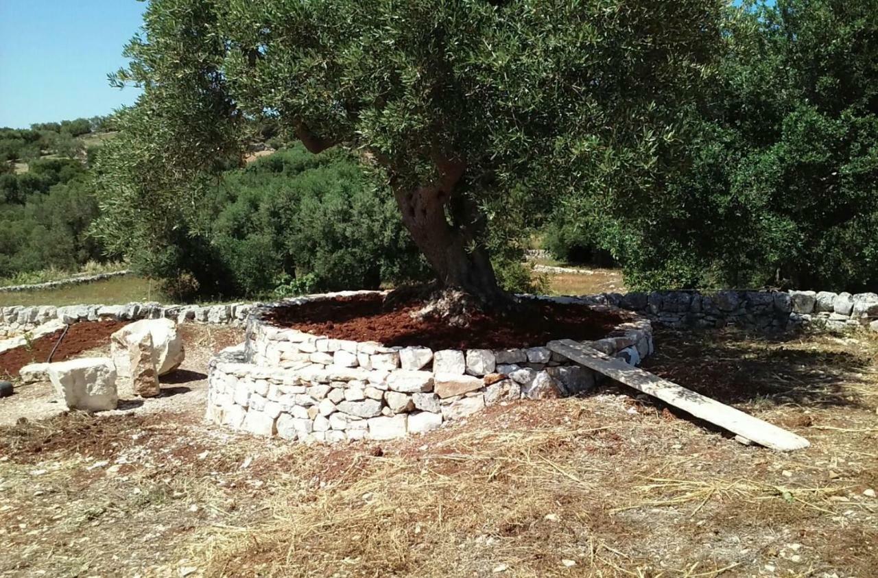 Trullo Alto Salento Βίλα Cisternino Εξωτερικό φωτογραφία